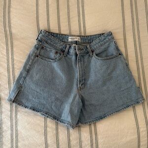 Abercrombie The Dad Shorts in Curve Love